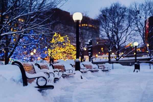 Snow-covered benches in the winter park in the evening