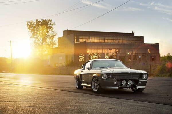 Silver Ford on the background of a sunset road