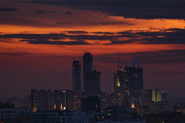 Paesaggio urbano con grattacieli sotto il cielo notturno