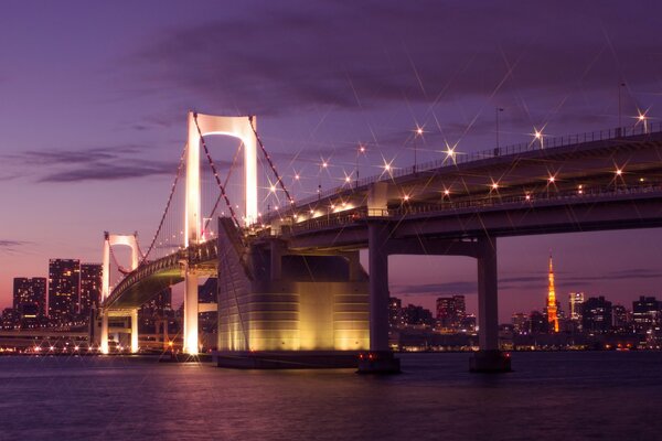 Столица Японии Токио в свете ночных фонарей. Залив в зареве фиолетовых облаков