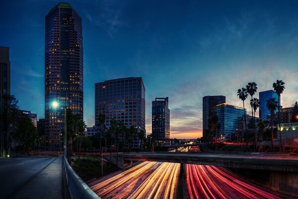 Lumières de nuit de Californie sur la chaussée