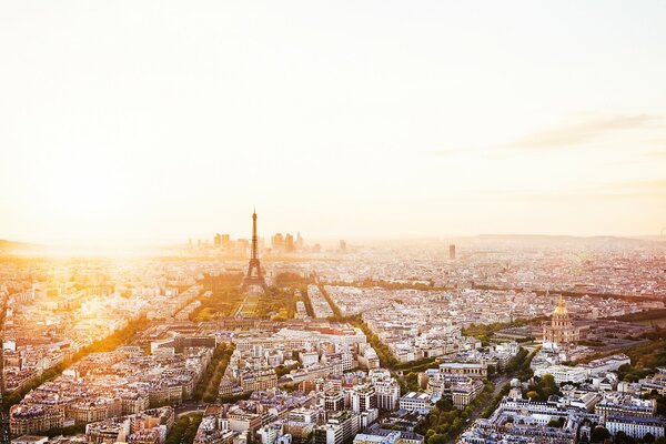 Eiffel Tower in the rays of the rising sun