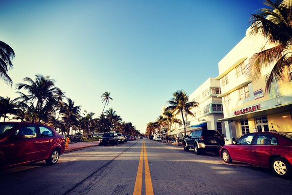 Strada urbana di Miami nel paesaggio delle Palme