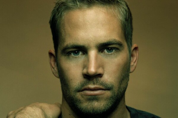 Photo of actor Paul Walker