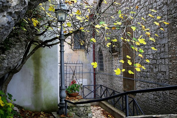 Courtyard with a lantern and a tree in autumn