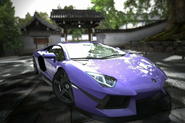 Violet Lamborghini beau cadeau