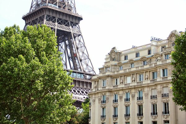 La torre Eiffel detrás de la casa y el árbol