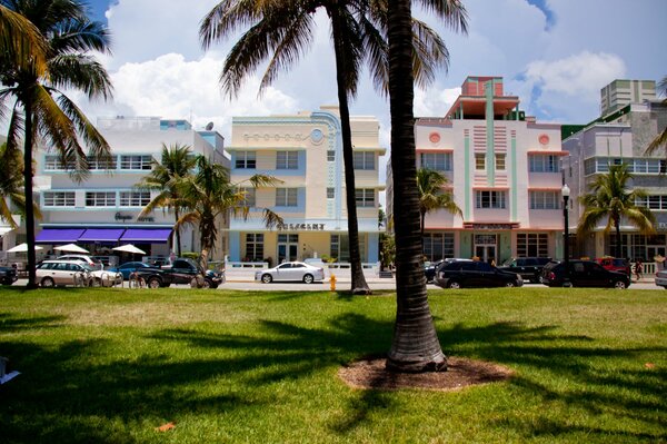 Hotels in Miami florida