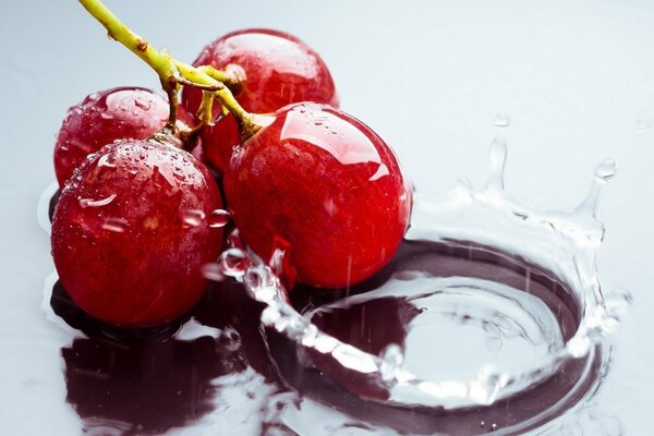 An incredible combination of red grapes on the background of water