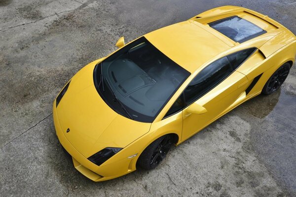 Gelber Lamborghini in seiner ganzen Pracht
