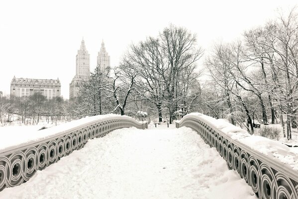 Puente en el parque nevado de Manhattan