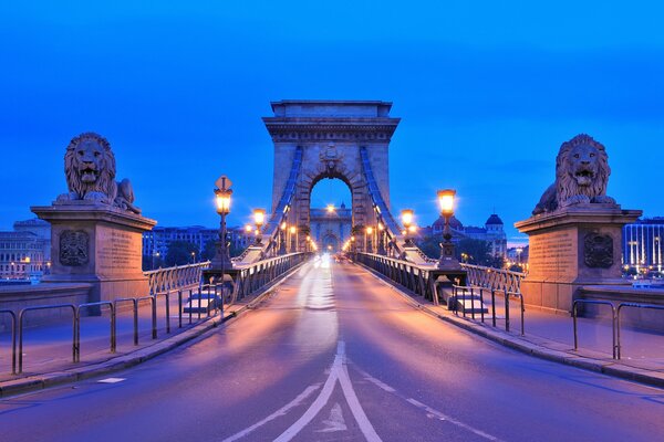 Paisaje urbano nocturno en Budapest