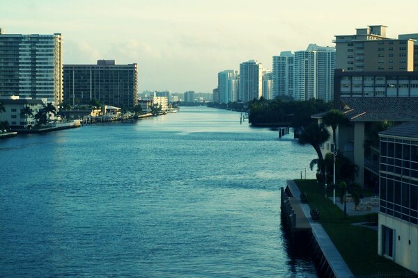 Grattacieli di Miami vicino all acqua