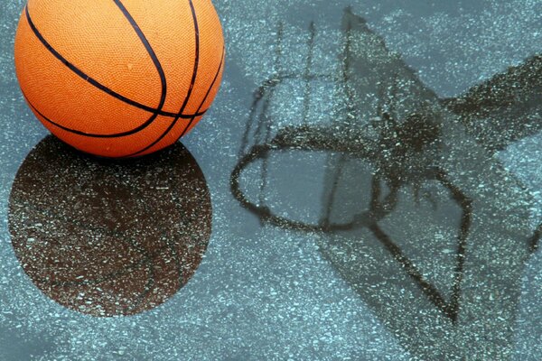 Réflexion dans l eau d un ballon de basket