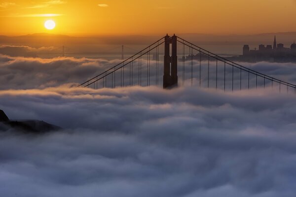 Morgennebel in San Francisco