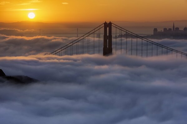 Nebbia mattutina a San Francisco