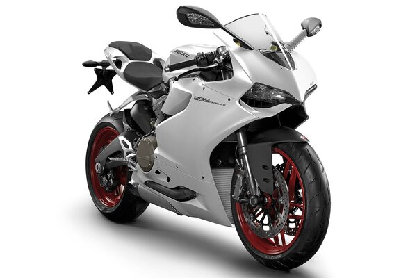 Ducati motorcycle on a white background