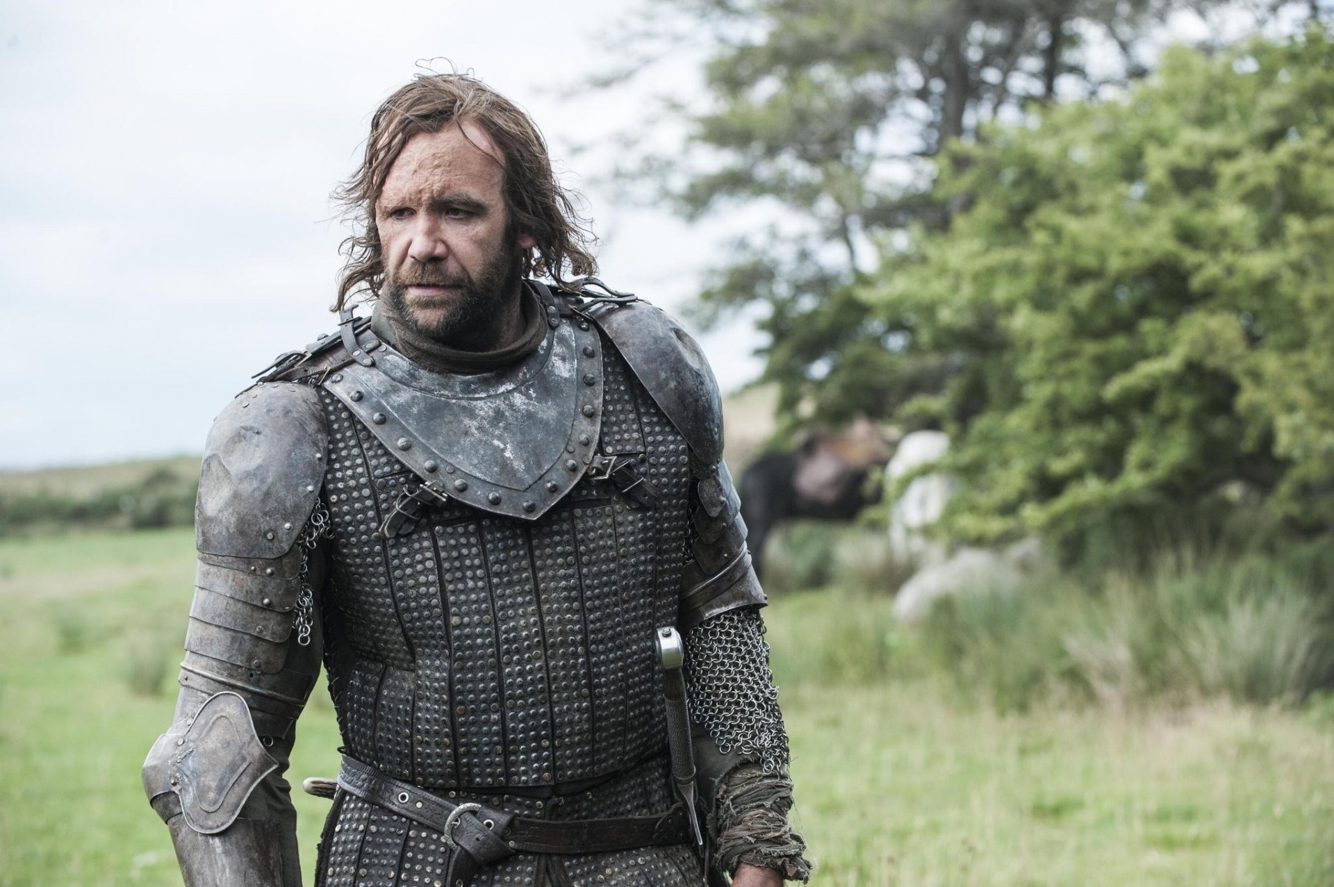 pies natura zbroja sandor clegane gra o tron wojownik