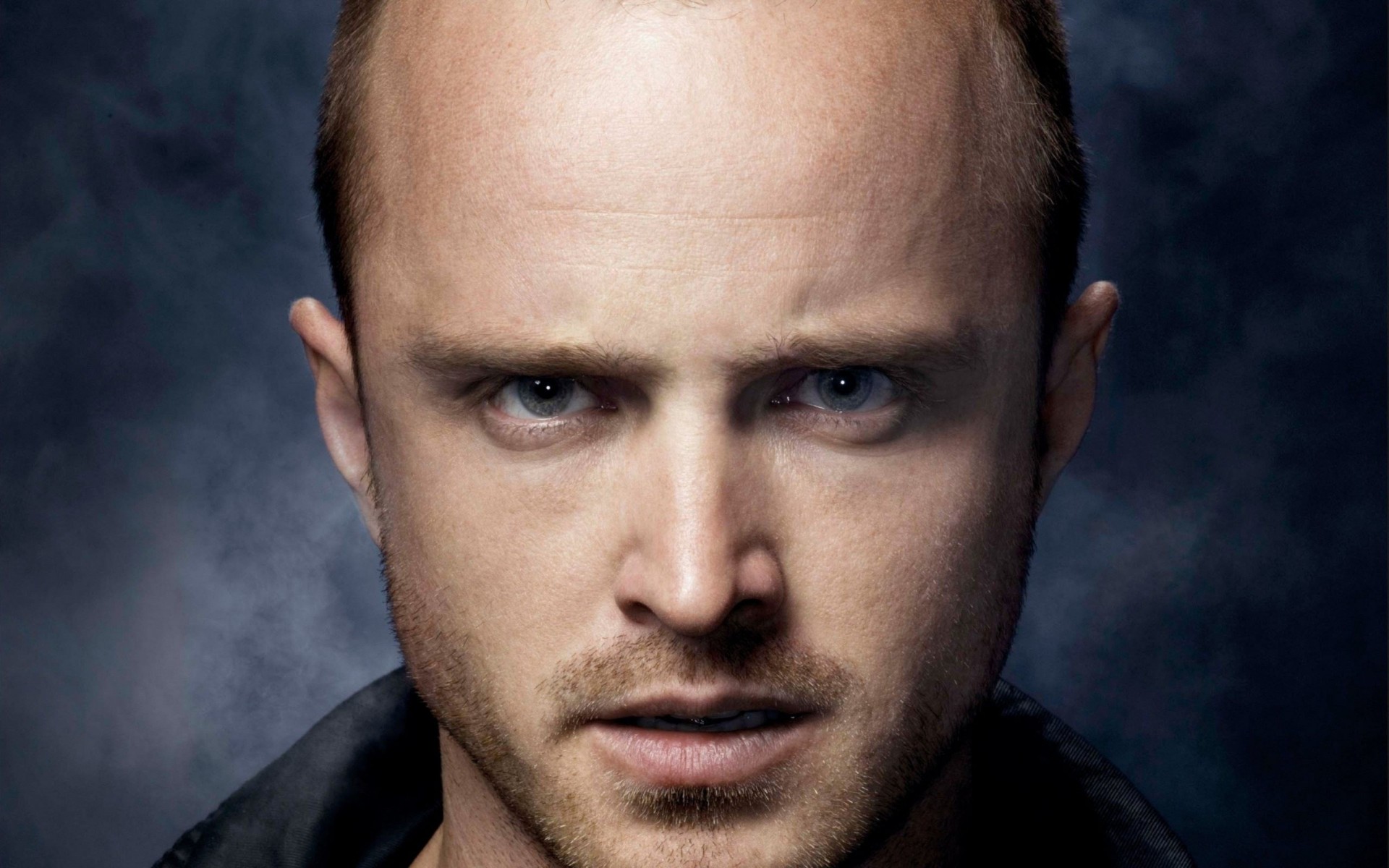 aaron paul fotografia gwiazdy aktor