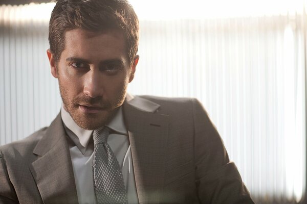 Ritratto dell attore Jake Gyllenhaal