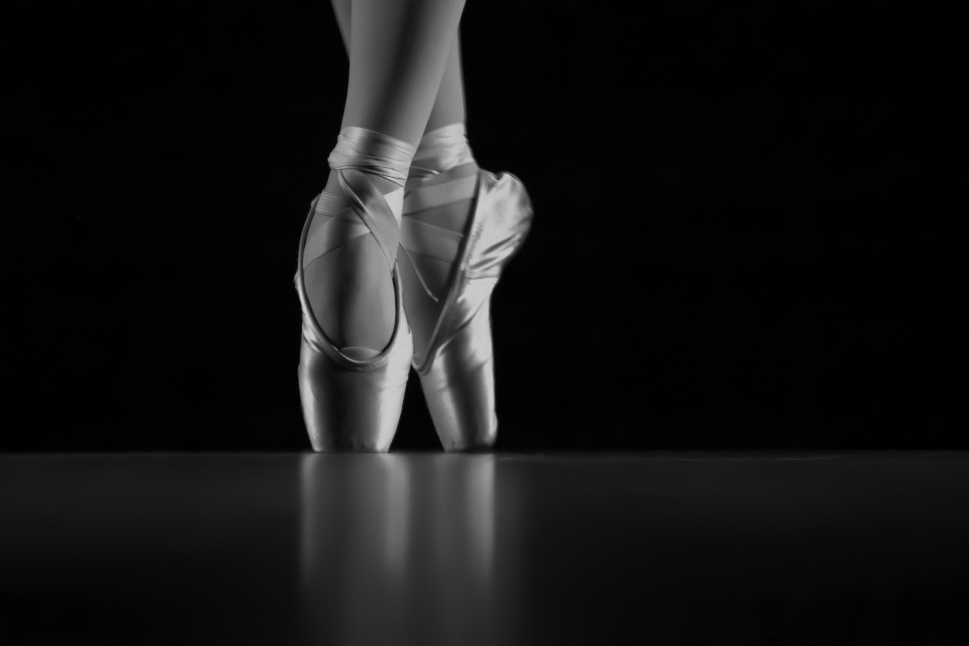 pointes ballet shoes monochrome