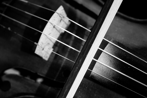 Musique et violon sur fond Monochrome