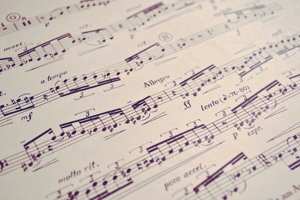 Le livre des notes de musique de Sean