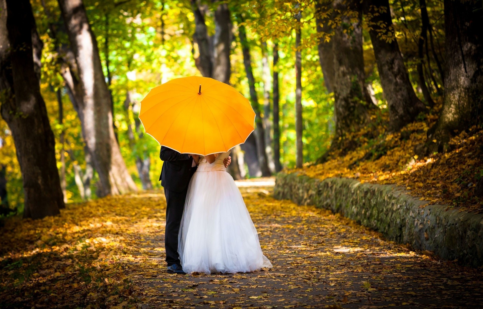 braut mann gelb hintergrund frau tapete hochzeit herbst smoking mädchen fußweg bäume liebe palmen regenschirm gasse hochzeitskleid stimmung kostüm frisch verheiratete bräutigam