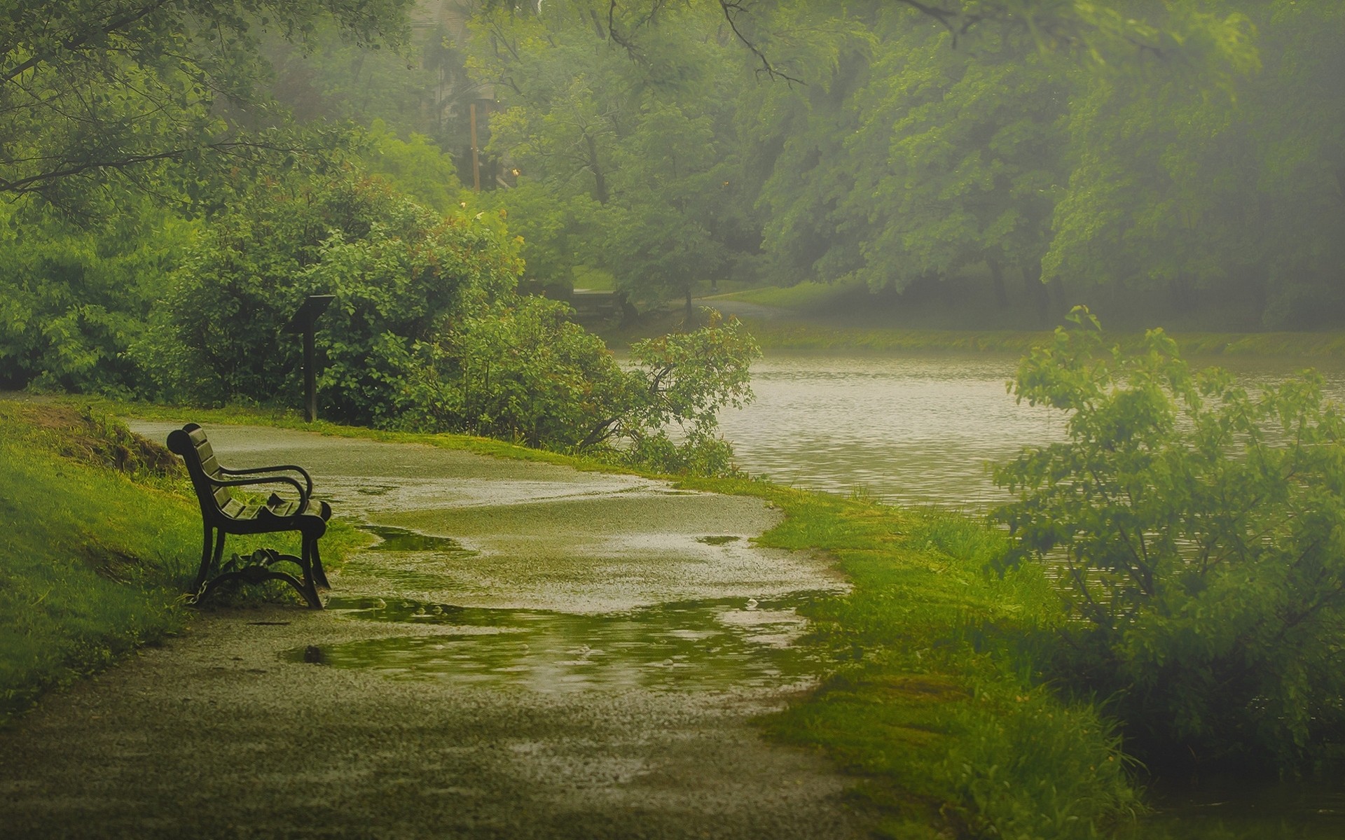 washington park bench rain nature shop spring