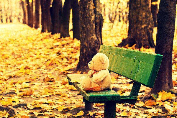 A teddy bear sits on a bench in the park