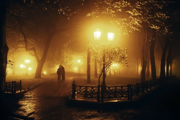 Night park. Couple walking