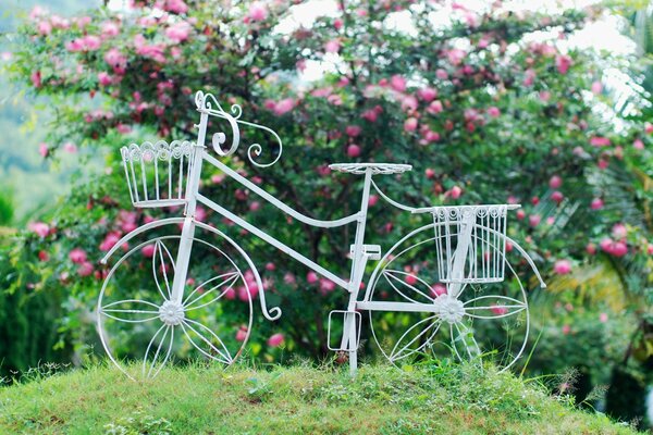 Vélo blanc avec panier près de fleurs