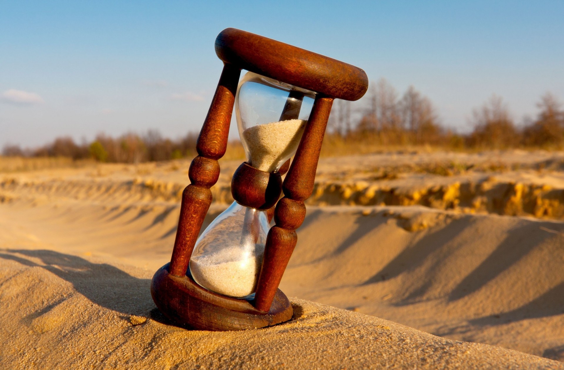 stimmung hintergrund bäume tapete tag sanduhr schatten sand