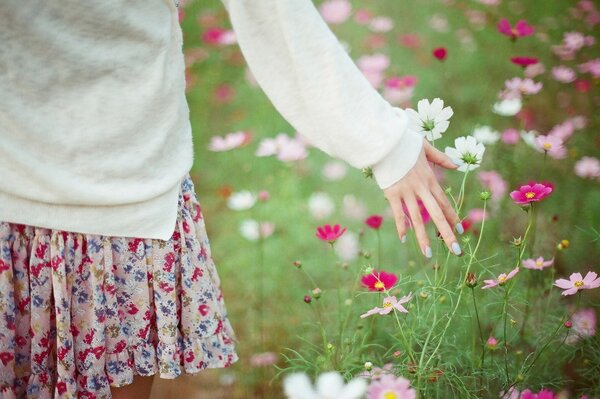 Dziewczyna na polanie z kwiatami. Dziewczyna w spódnicy