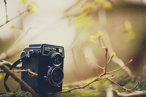 Eine Kamera liegt im Wald