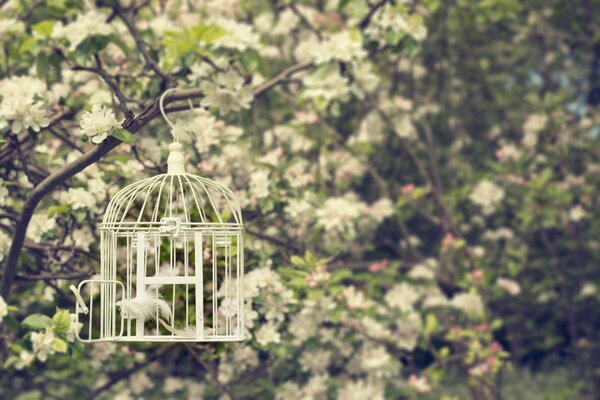 An empty little cage is hanging on a branch in the garden