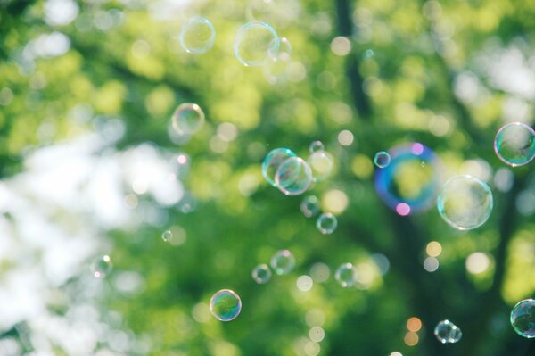 Bulles de savon volant à travers le ciel