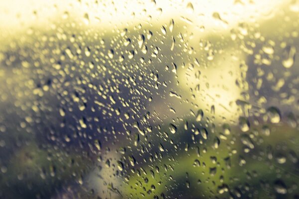 Raindrops on the glass