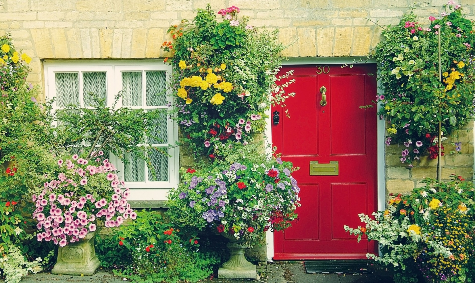 building window doors house