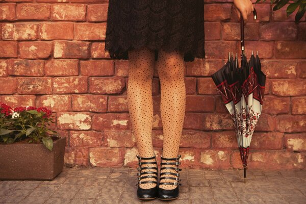 A girl with an umbrella and speckled tights against a brick wall