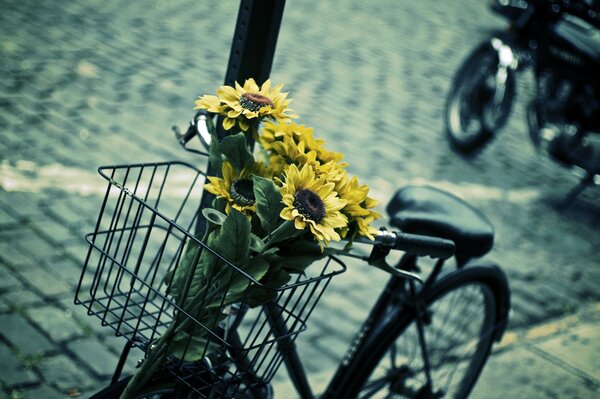 Bicicletta parcheggiata con un mazzo di girasoli