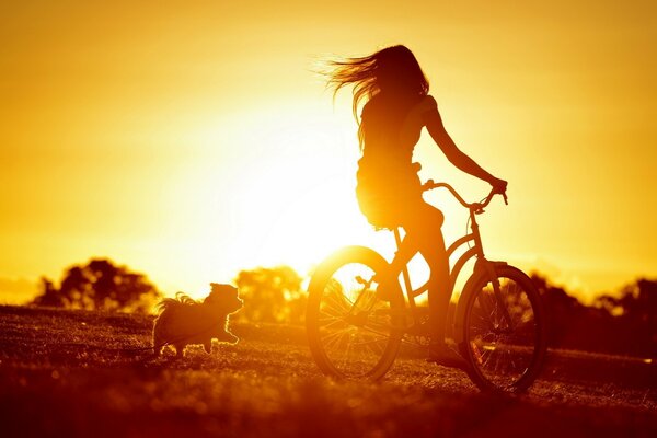 Mädchen reitet ein Fahrrad bei Sonnenuntergang