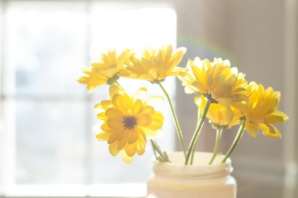 Flores amarillas brillantes a la luz del sol