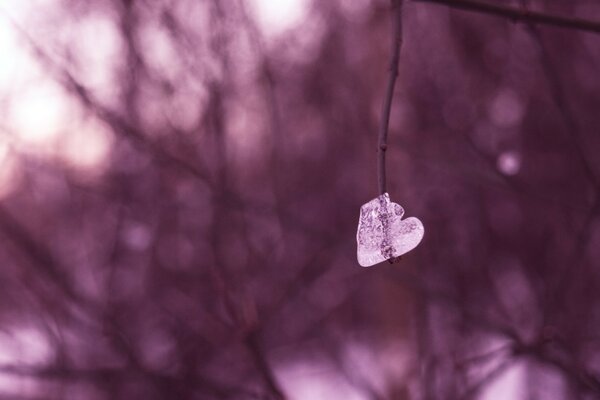 Frozen icicle in the form of a heart in spring