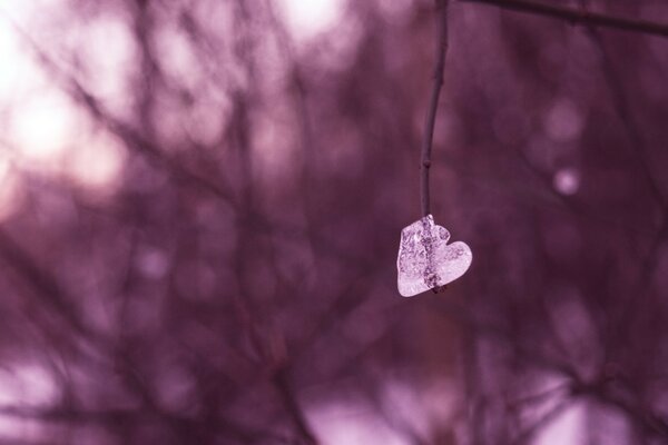 Glaçon congelé en forme de coeur au printemps