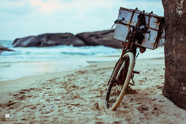 Vieux vélo sur la plage sur fond de mer et de pierres