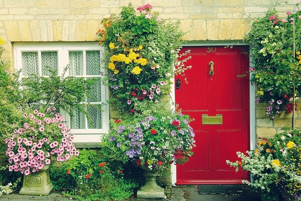 Edificio con ventana y puerta en colores