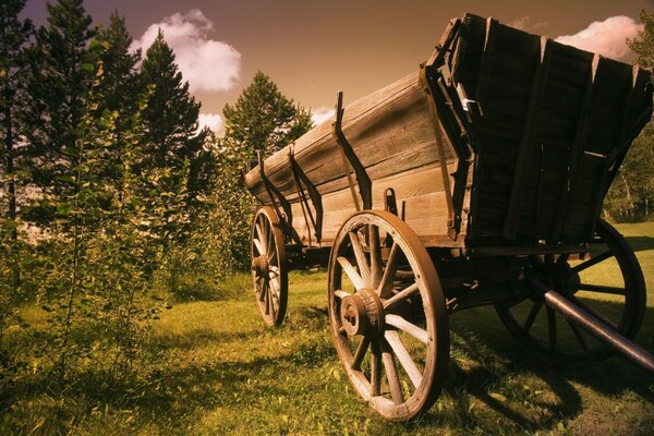 Chariot sur beau fond