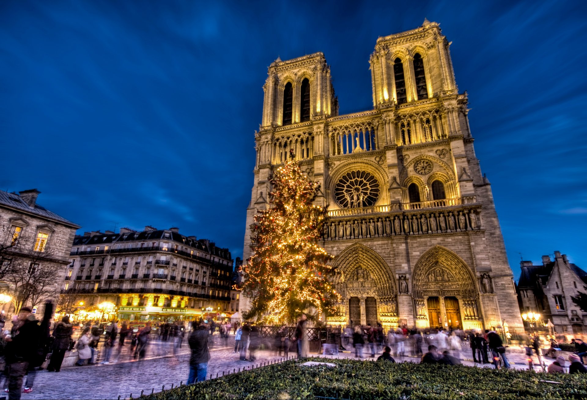 notre dame de paris catedral de notre dame notre dame de paris parís francia plaza año nuevo árbol de navidad vacaciones