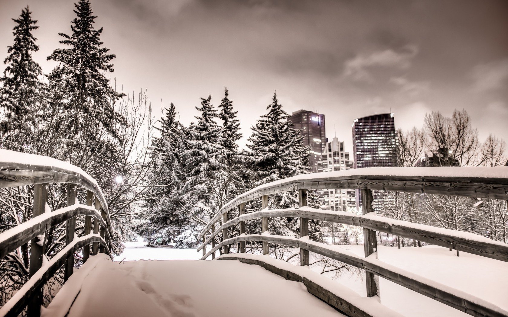 ville parc calgary nuit